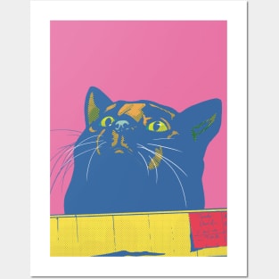 Fat Cat in a Box Posters and Art